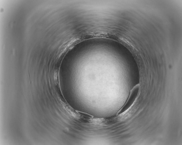 X0000087360192200705041904