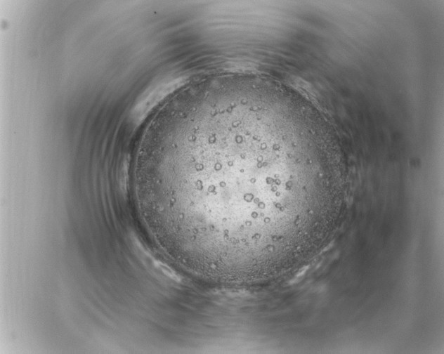 X0000087360194200705041904