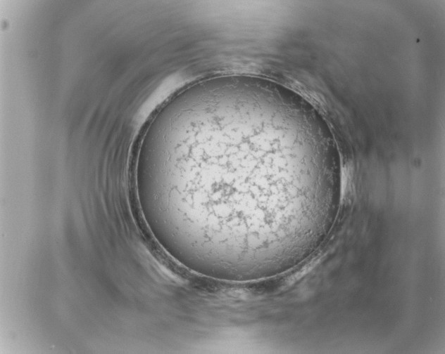 X0000087360195200705041904