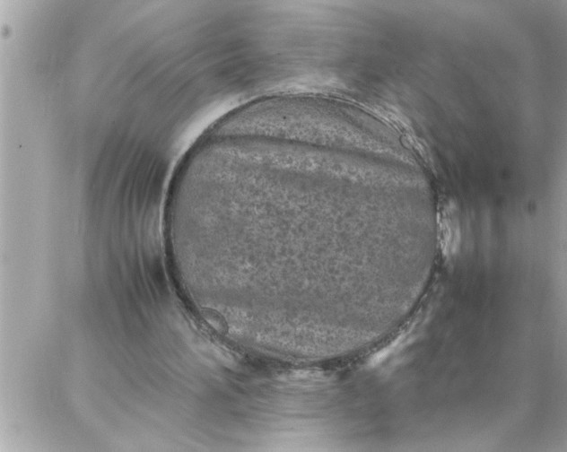 X0000087360196200705041904