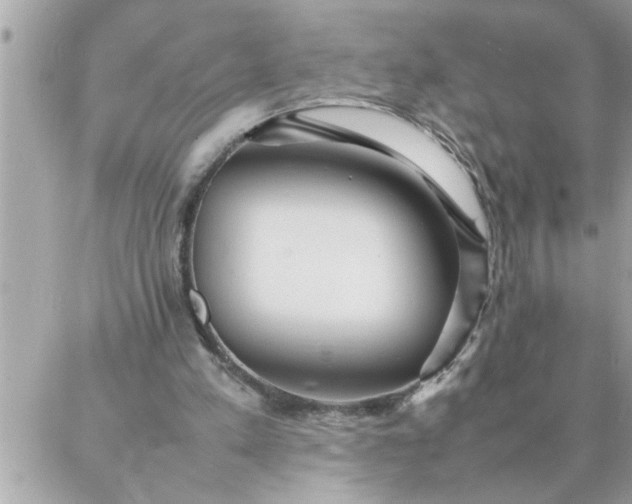 X0000087360197200705041903