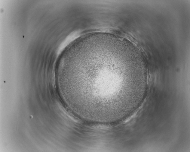 X0000087360198200705041903