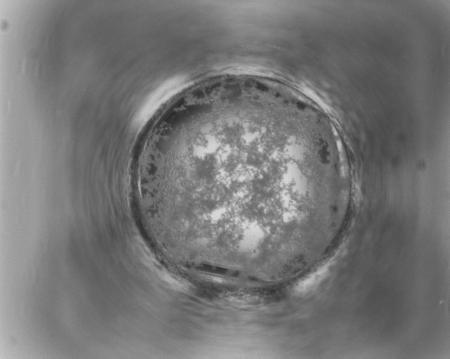 X0000087360199200705041903