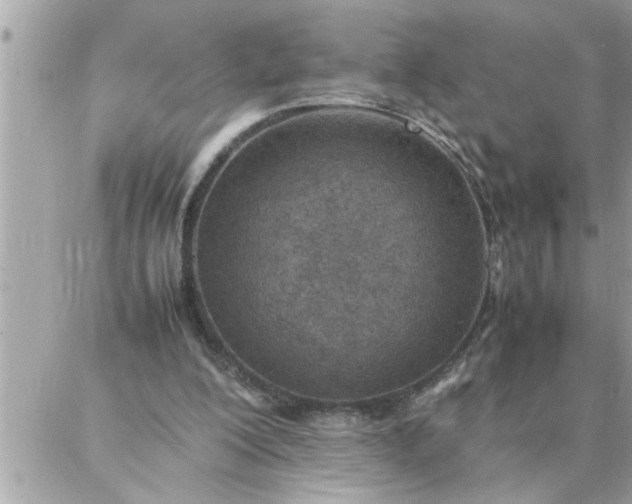 X0000087360200200705041903