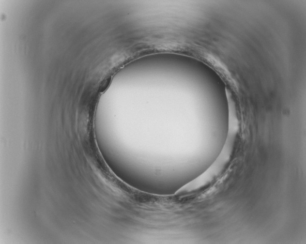 X0000087360201200705041903