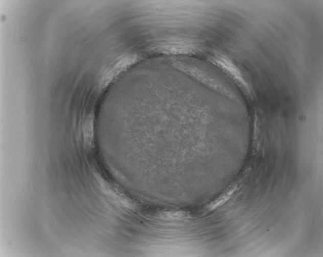 X0000087360202200705041903