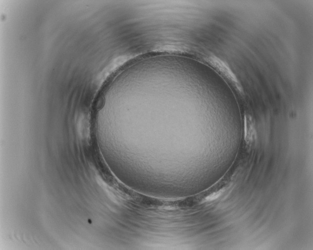 X0000087360204200705041903