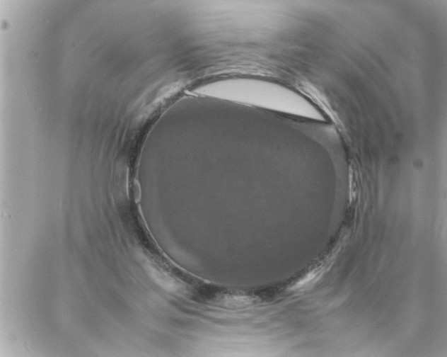 X0000087360205200705041903