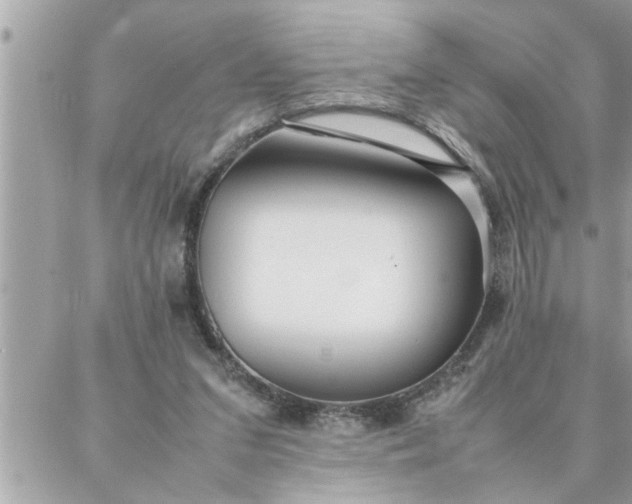 X0000087360207200705041903