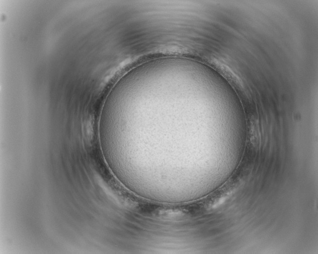 X0000087360208200705041903