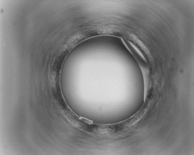 X0000087360209200705041903