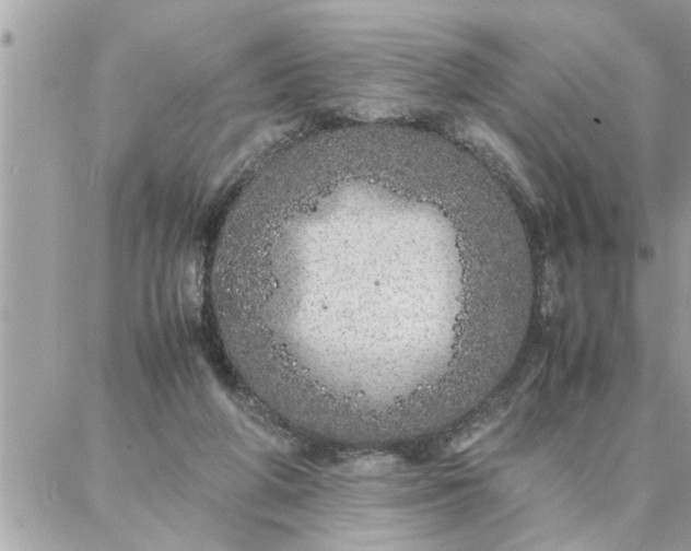 X0000087360210200705041903