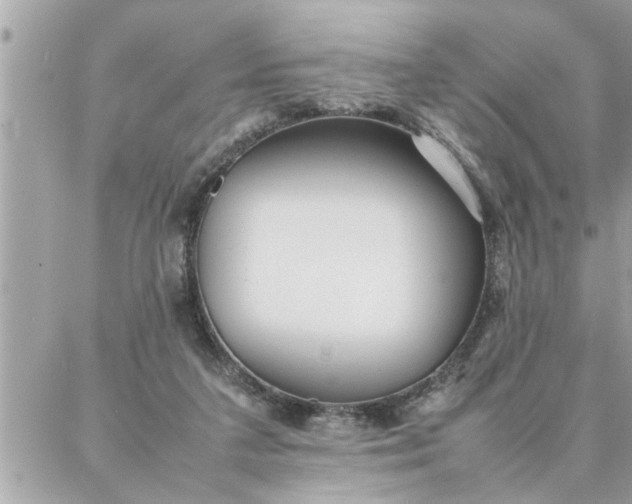 X0000087360211200705041903