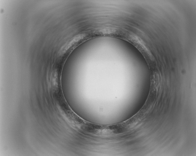 X0000087360212200705041903