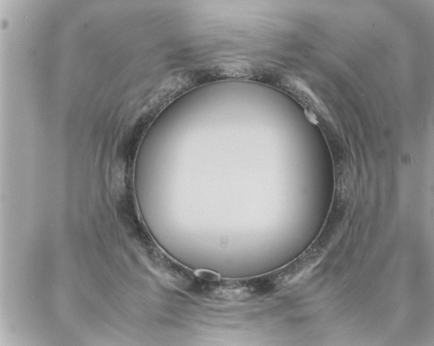 X0000087360213200705041903