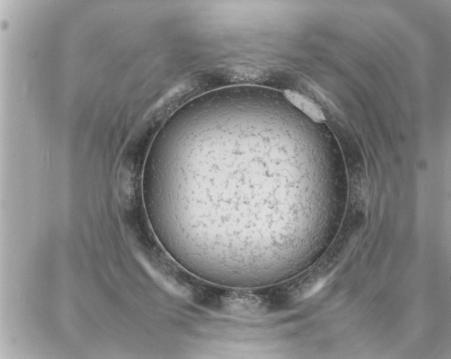 X0000087360215200705041903