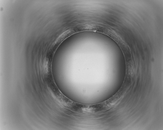 X0000087360216200705041903