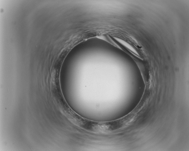 X0000087360217200705041903