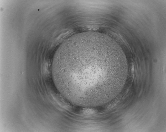 X0000087360218200705041903