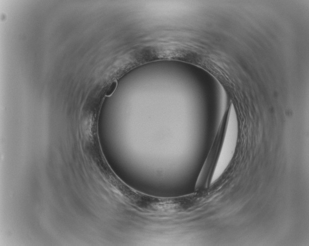 X0000087360219200705041903