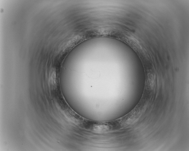 X0000087360220200705041903