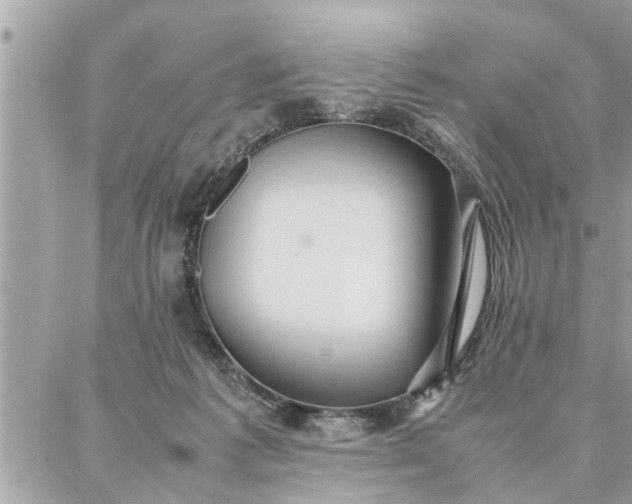 X0000087360221200705041903