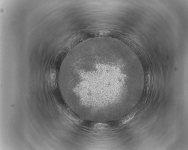 X0000087360222200705041903