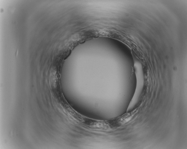 X0000087360223200705041903