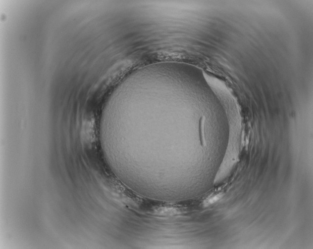 X0000087360224200705041903