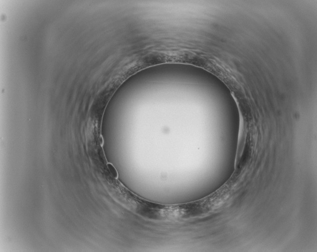 X0000087360225200705041903