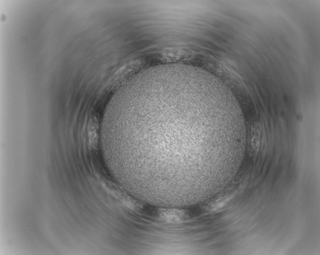 X0000087360226200705041903