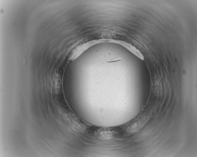 X0000087360228200705041903