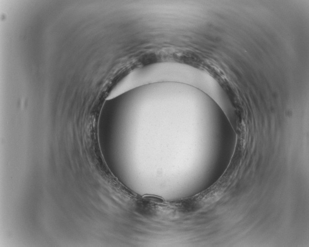 X0000087360229200705041903