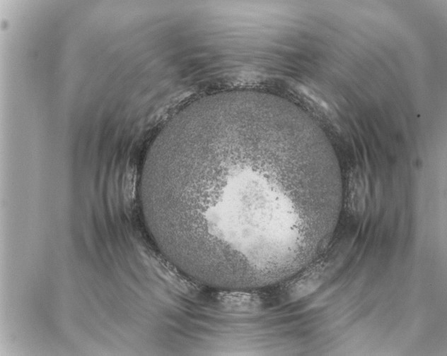 X0000087360230200705041903