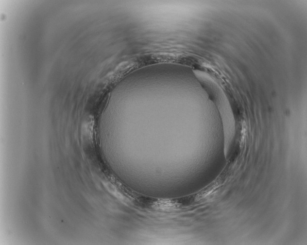 X0000087360231200705041903