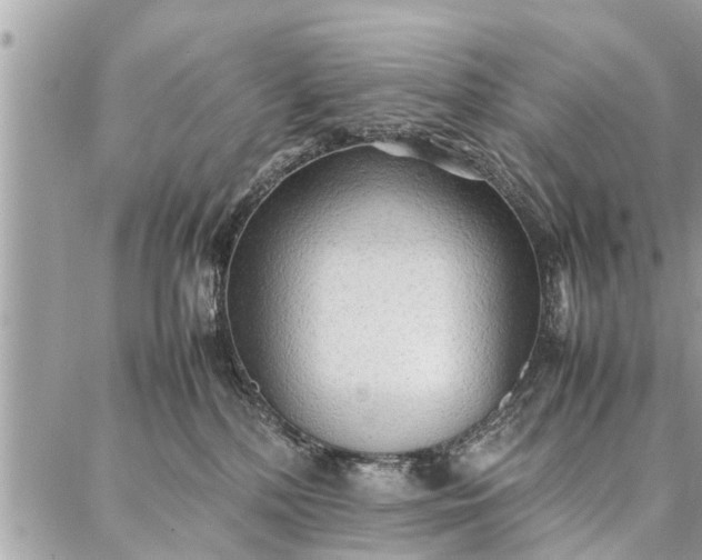 X0000087360232200705041903