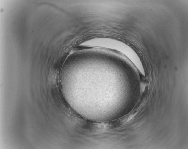 X0000087360233200705041903