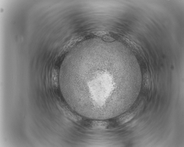 X0000087360234200705041903