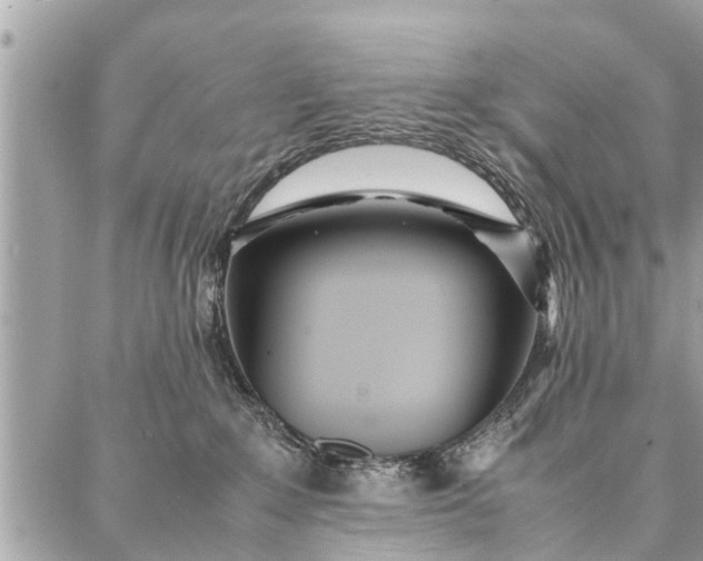 X0000087360235200705041903