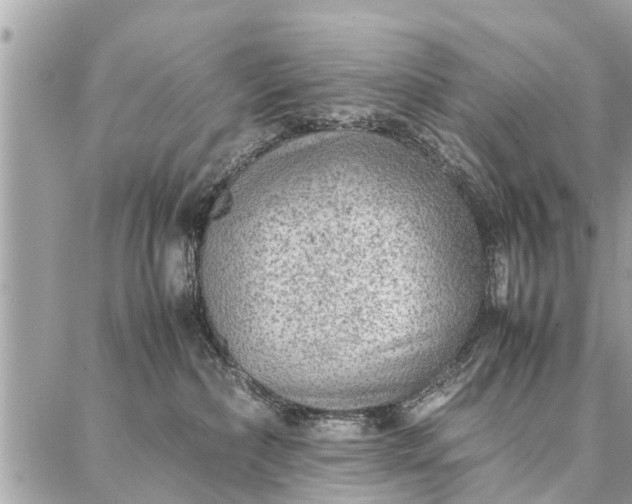 X0000087360236200705041903