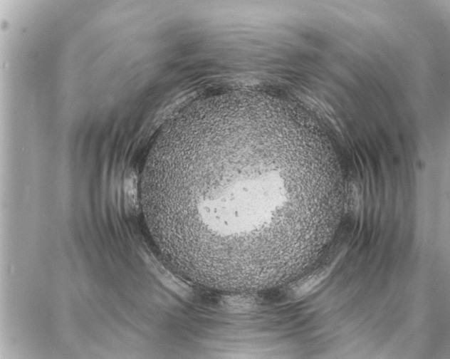 X0000087360238200705041903