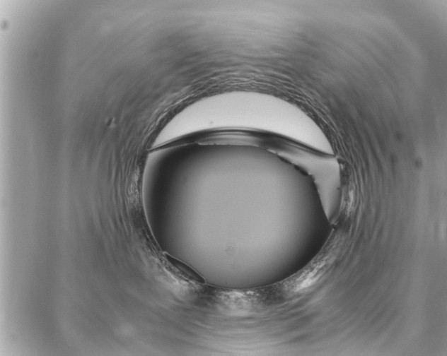 X0000087360239200705041903