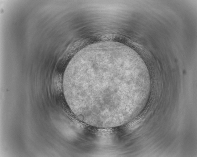 X0000087360240200705041903