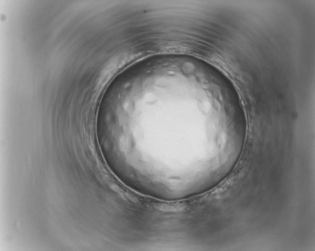 X0000087360241200705041902