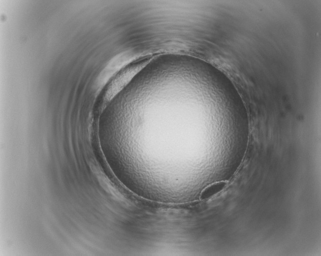 X0000087360242200705041902