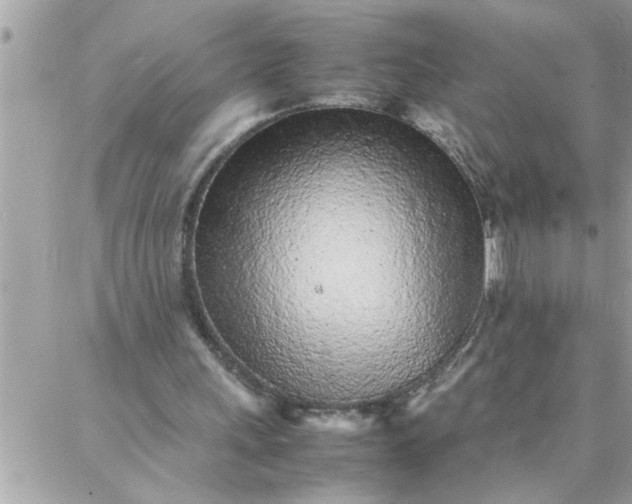 X0000087360243200705041902