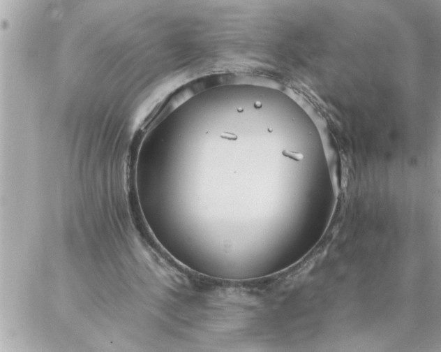 X0000087360244200705041902