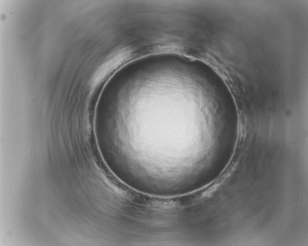 X0000087360245200705041902