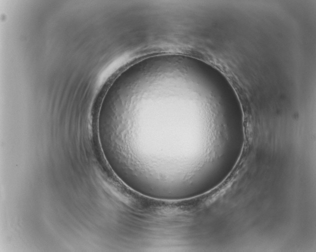 X0000087360246200705041902