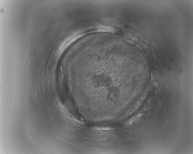 X0000087360247200705041902